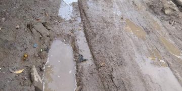 Jalan Lingkungan Desa Usar Memprihatinkan, Pemerintah Perlu Turun Tangan