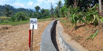 Program P3-TGAI Desa Tanjungrasa Bogor Sesuai Spek, Ketua P3A Tani Mekarwangi: Sangat Membantu Masyarakat Khususnya Para Petani