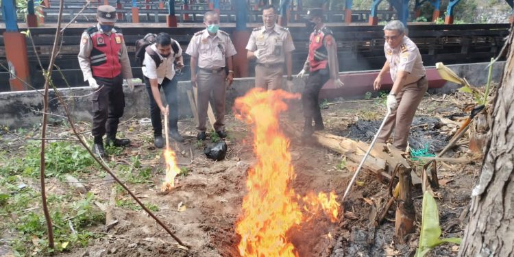 Cegah Penularan PMK, 9,68 Kilogram Sitaan Daging Sapi dari Bali Dimusnakan