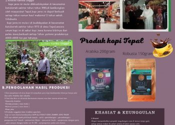 Robusta dan Arabika Produk Kopi Tepal Sumbawa