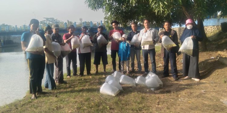 Tahun Baru Hijriah, Kabeh-kabeh Pemalang Rayakan Tebar Benih Ikan
