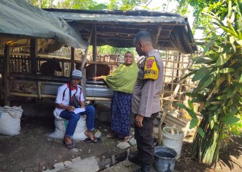 Antisipasi PMK, Bhabinkamtibmas Motong Door to Door Edukasi Peternak