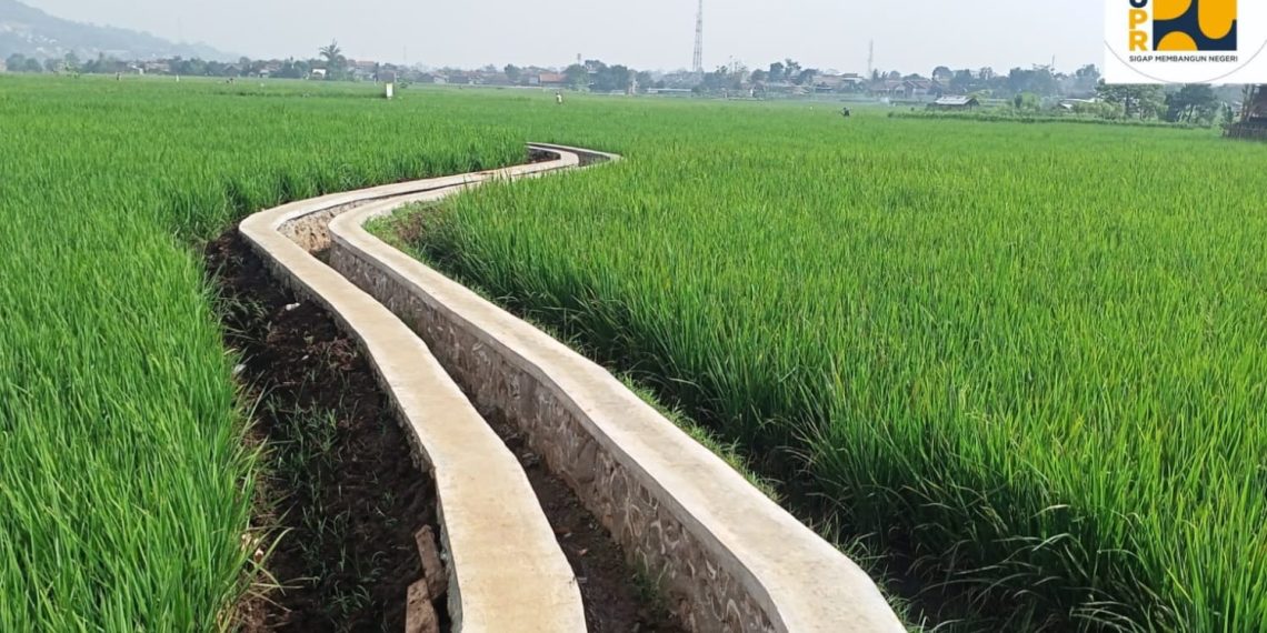 Perkumpulan Petani Pemakai Air: Program P3TGAI, Solusi dan Bermanfaat