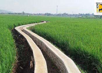 Perkumpulan Petani Pemakai Air: Program P3TGAI, Solusi dan Bermanfaat