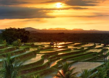 Obyek Wisata Menarik di Bali