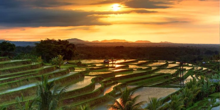 Obyek Wisata Menarik di Bali