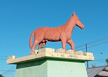 Manfaat Susu Kuda Sumbawa Bagi Kesehatan Tubuh Manusia