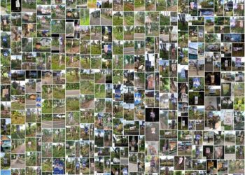 Hasil Pengawasan Bawaslu Enrekang: 363 APK Tidak Sesuai Ketentuan