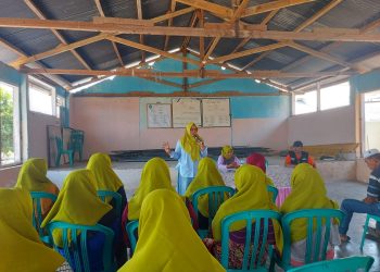 Paslon Novi-Talif Gaungkan Inovasi Peternakan Multikultural untuk Talwa