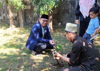 PRIMA DMI Sulsel Canangkan Gerakan 10.000 Pohon Masjid, Libatkan Pemuda untuk Hijaukan Rumah Allah