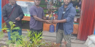 Menanam Harapan di Jantung Jayawijaya: Aksi Naila M. Wenda Melawan Krisis Iklim